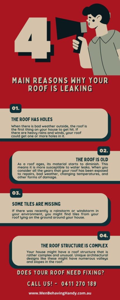 Infographic: 4 Main Reasons Why Your Roof Is Leaking | Men Behaving Handy