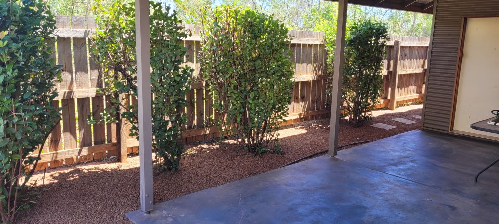 Tree Liability: Protect Your Property