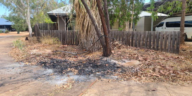 Screenshot 2026 01 29 100121